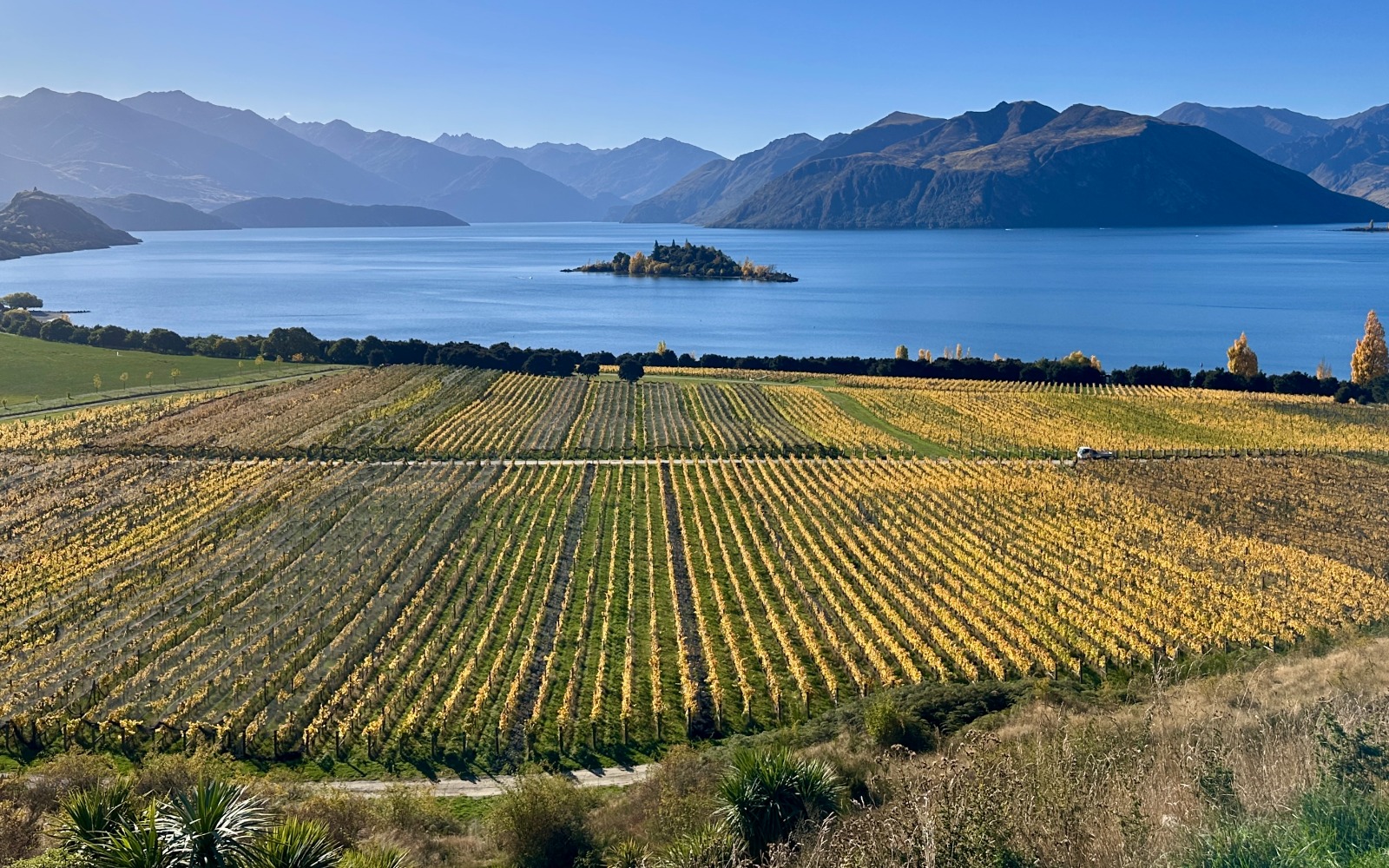 Rippon Winery