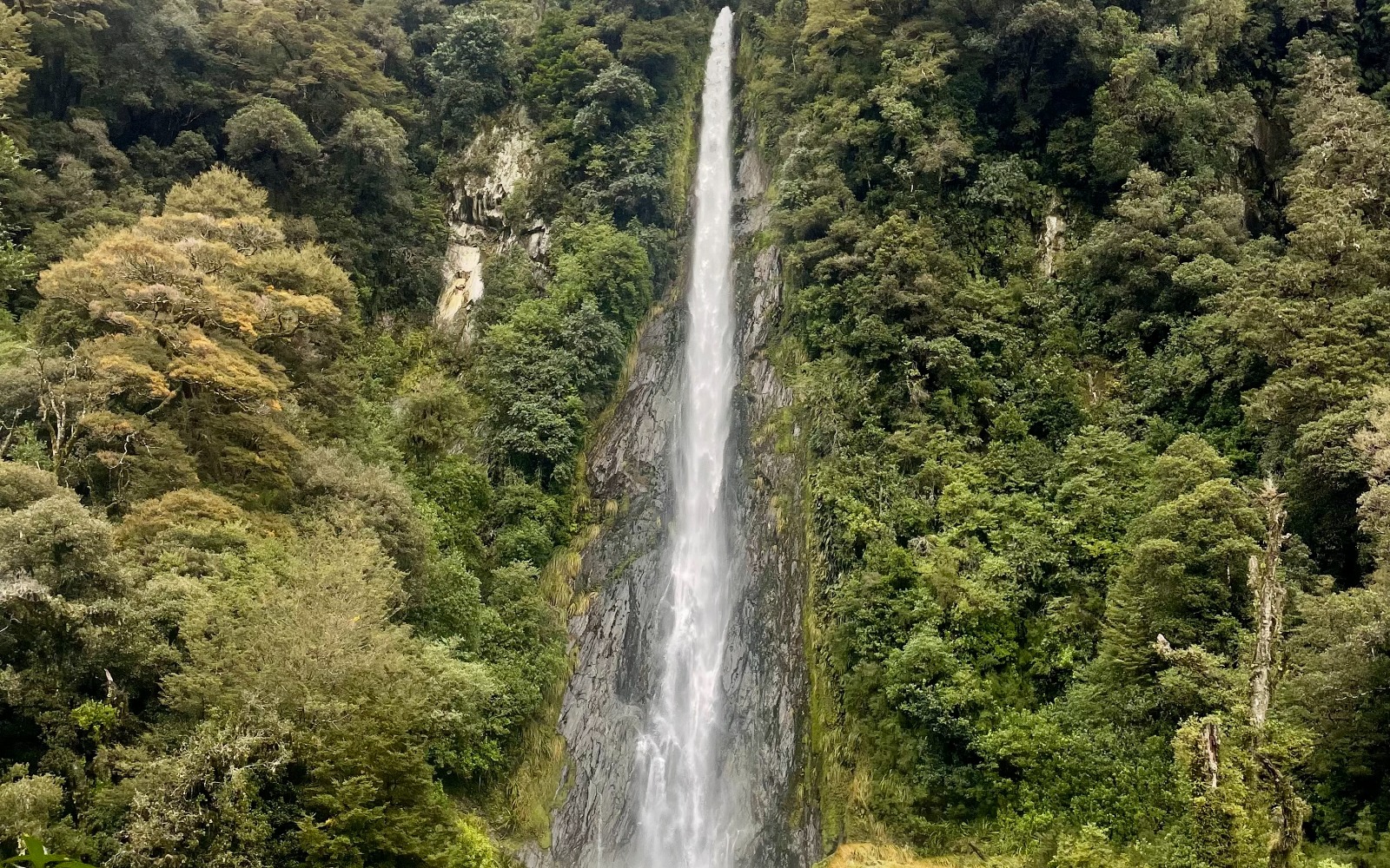 Thunder Creek Falls