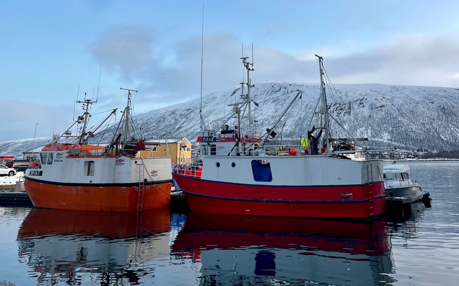 See Artic Water