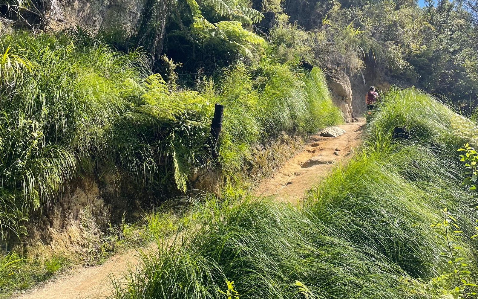 Torrent Bay to Mārahau