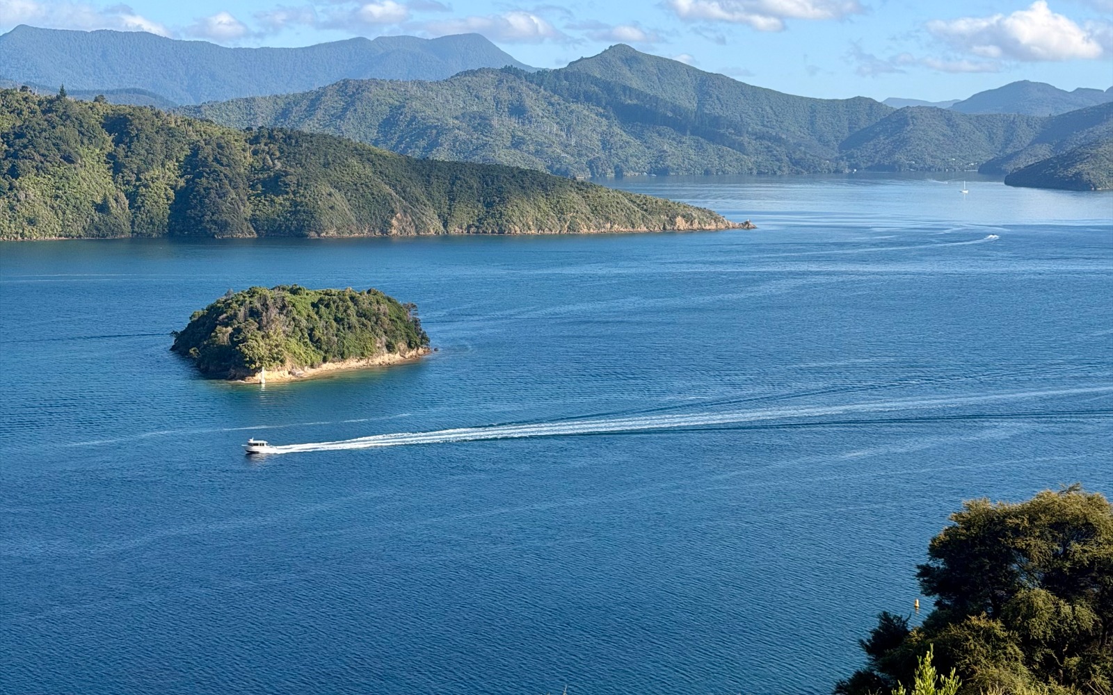Cook Strait Viewpoint