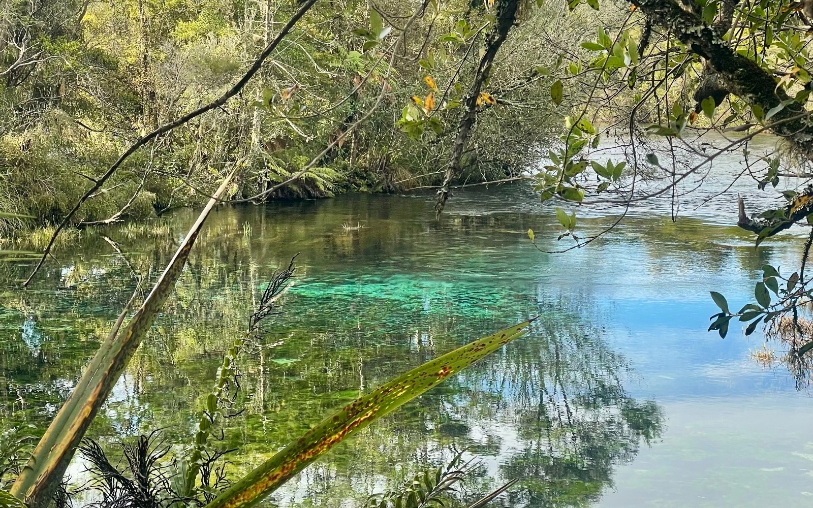 Te Waikoropupu Springs (Pupu Springs)