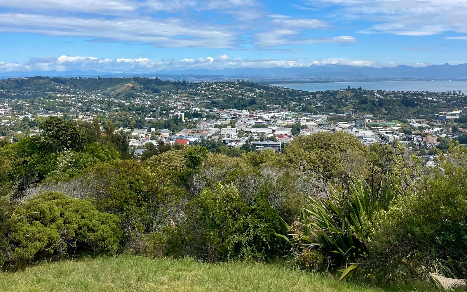Center of New Zealand