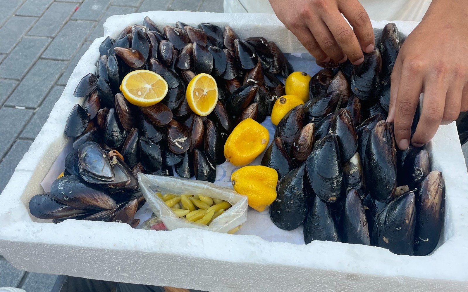 Mussels along the Golden Horn